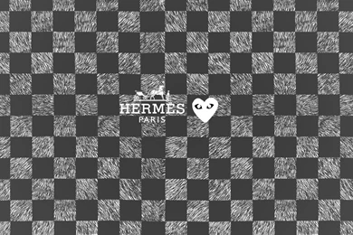 LUCIDXDREAMS (HERMES X COMME DES GARCON SCARF WALLPAPER 2...)