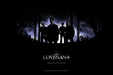 Steven Strait   Steven Strait In The Covenant Wallpapers 1 800x600