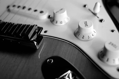 Fender Stratocaster Black And White Wallpapers 2926