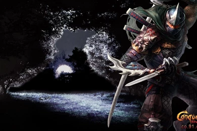 Ninja Wallpapers   59526