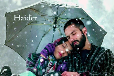 Haider New Bollywood Movie HD Wallpaper.jpg