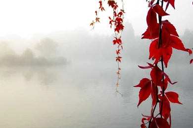 Wallpaper: Hd Wallpapers With Thought