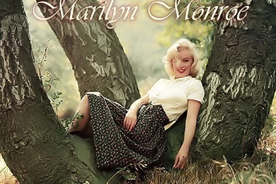 Marilyn Monroe : Wallpapers Album.   Marilyn Monroe Photos On ...
