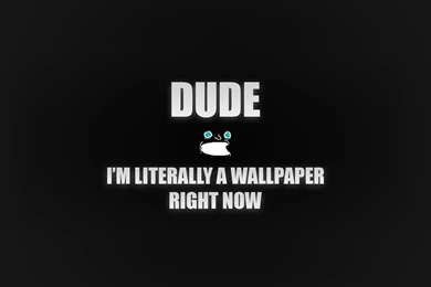 Dude, I'm Literally A Wallpapers Right Now