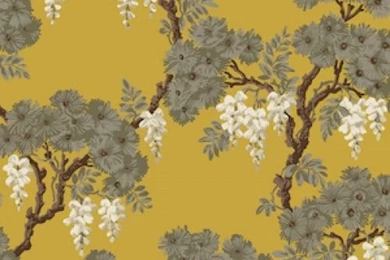 Buy Designer Cole & Son Wisteria Red Black Wallpapers