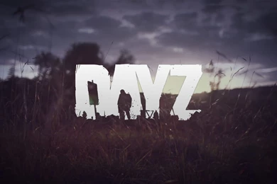 Made A Simple DayZ Wallpapers In Class Today... : Dayz