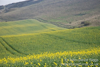 Peaceful Desktop Backgrounds Wallpapers   669243