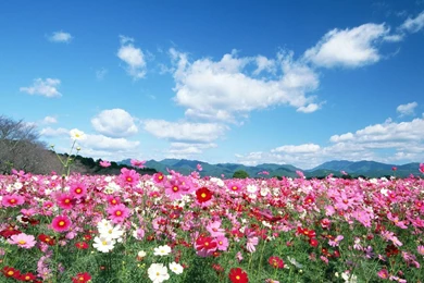 Feeling The Nature   People Relaxing In Peaceful Nature 1600x1200 ...