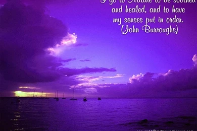 Sunset Wallpapers, Sunset Wallpaper, Free Sunset Wallpapers, Free ...