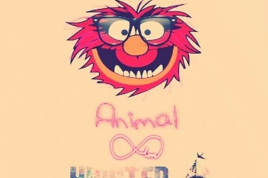 Wallpapers For Phone.. Hipster Animal Of Muppets By Damii