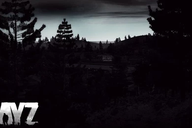 Dayz Wallpapers By DanielaSelic On DeviantArt