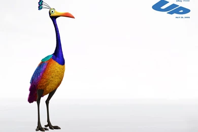 Up Computer Wallpapers, Desktop Backgrounds