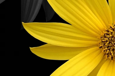 HD Samsung Galaxy Note 4 Wallpapers Img 8