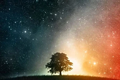 Wallpapers For Mobile Phone : Mobile Ringtones, Wallpapers