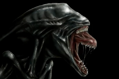 Alien Sci fi Art Artwork Futuristic Aliens Wallpapers