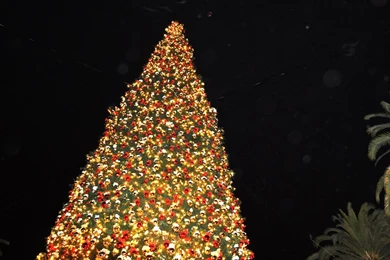 Pretty Christmas Pictures   HD Wallpapers And Pictures