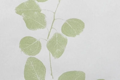 Jocelyn Warner Book One