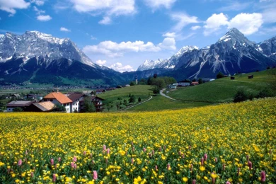 Countryside Splendor France Wallpapers