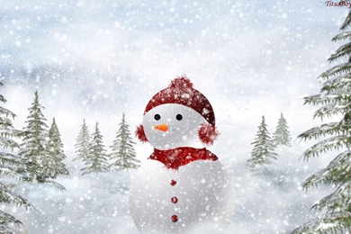 High Definition Christmas Wallpapers « Christmas 2015 Ideas And ...