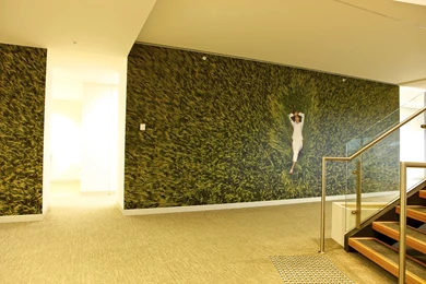 Mister Wallpapers Custom Printed Photo Wallpapers To Create Feature ...