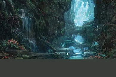 Deep Forest HD Wallpapers