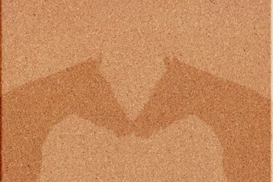 Horse Themed Corkboard 4 By LibertyPark On DeviantArt