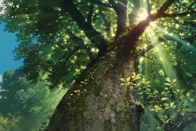 Anime Scenery HD Wallpapers And Backgrounds