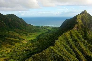 Green Natural Scenery, Trees, Forest, Grass, Mountains, Sea, Sky ...