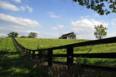 Kentucky Summer iPad Wallpapers