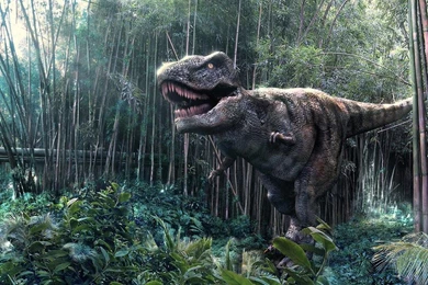 Jurassic Park Wallpapers And Backgrounds