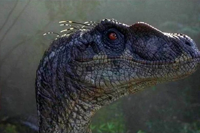 Latest Jurassic Park HD Movie Wallpapers Download