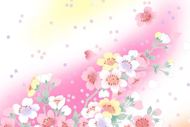 Flowers PPT Backgrounds Templates   Download Free Flowers ...