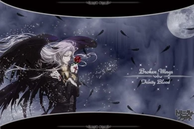 Trinity Blood   Trinity Blood Wallpapers (9503101)   Fanpop