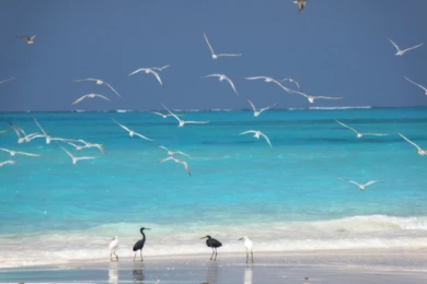 2015 09 23   Page 145