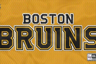 Hockey Tim Thomas Boston Bruins Wallpapers