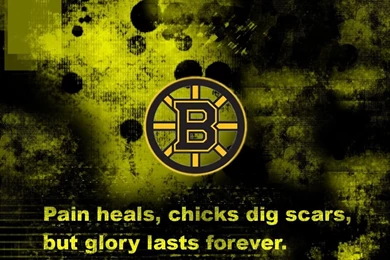 Boston Bruins Backgrounds Photo By Meddadog42
