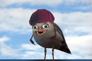 Seagullhat wallpaper.jpg