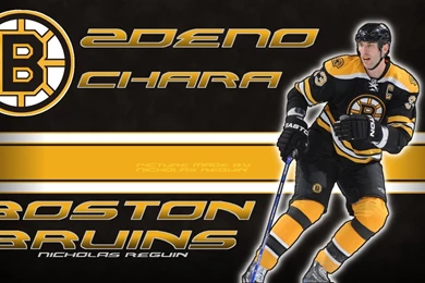 DeviantArt: More Like Zdeno Chara Boston Bruins Widescreen ...