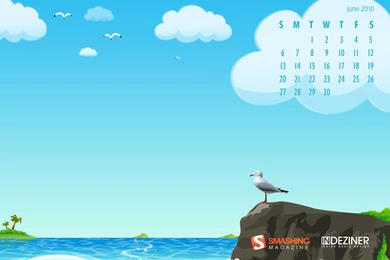 1680x1050 Seagull Desktop PC And Mac Wallpapers