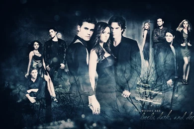 Vampire Diaries Desktop Wallpapers