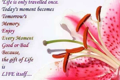 SMS Wallpapers Facebook Love In English Hinid For Mobile Free ...