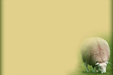 PPT CHRISTIAN On Pinterest