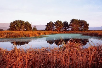 Nature Wallpapers Free Download Hd   HD Wallpapers Pretty