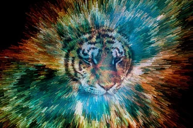 Random Wallpapers By Yuppern On DeviantArt