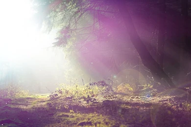 Color Editing Wallpapers 2011   Lei By Lei design On DeviantArt