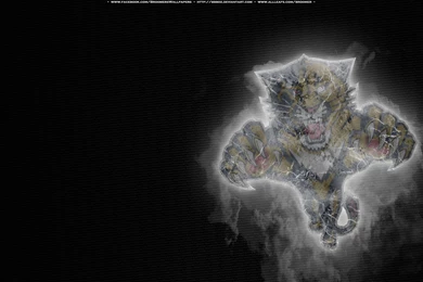 Florida Panthers Ice By Bbboz On DeviantArt