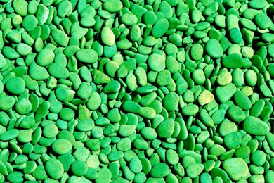 Green   Android Wallpapers HD