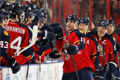 Panthers Vs. Islanders   01/14/2014   Florida Panthers   Photo ...