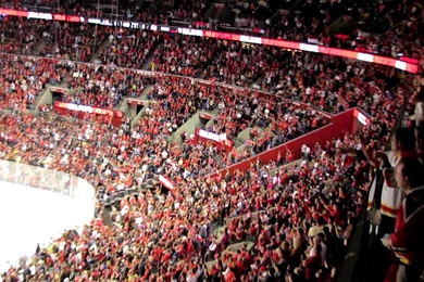Florida Panthers Crowd Celebrating Playoff Goal   4/13/12   YouTube