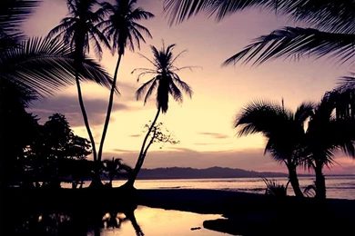 Karbonn Mobile Wallpapers   HD Wallpapers Lovely